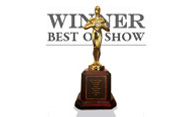 Best Shorts Winner